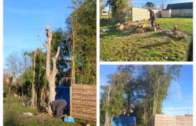 Elagueur Asnières-lès-Bourges