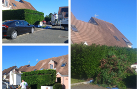 Abaissement d'une haie à fussy 